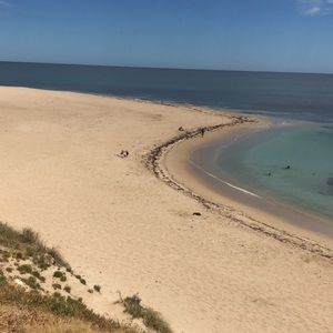 Meet your Posher, Maya